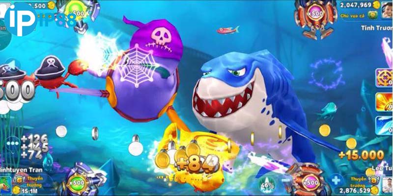 Bắn dội tường săn sinh vật biển dễ dàng