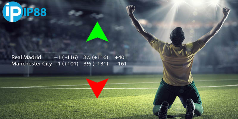 Các loại cược thường gặp