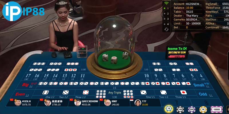 Cược theo cảm tính dẫn đến trắng vốn